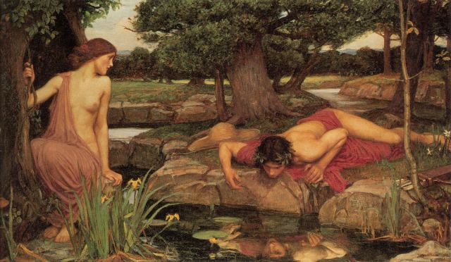 Narcissus2