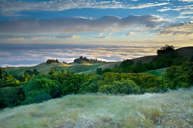 Tamalpais Breeze - Marin County, California