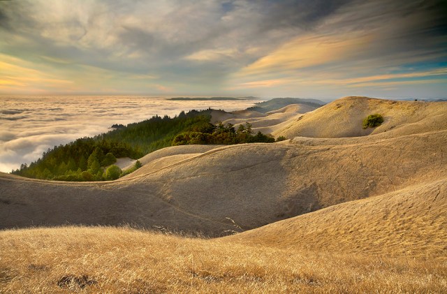 Undulations - Mt. Tamalpais, Marin County, California