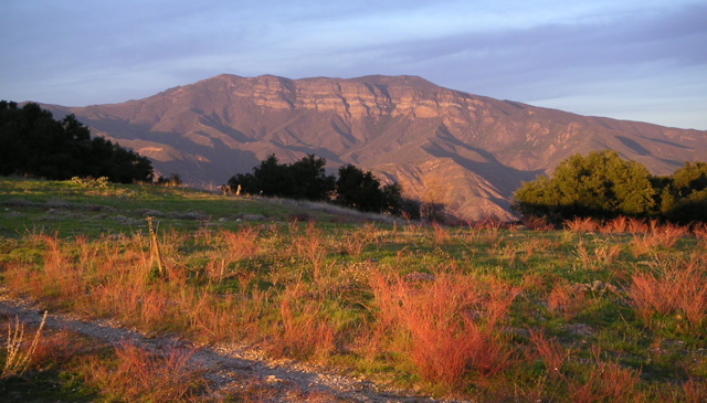 MINOLTA DIGITAL CAMERA