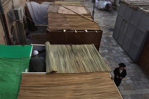 Sukkot22