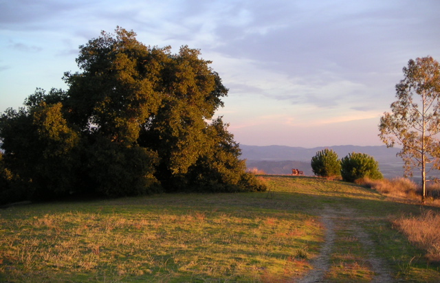 MINOLTA DIGITAL CAMERA