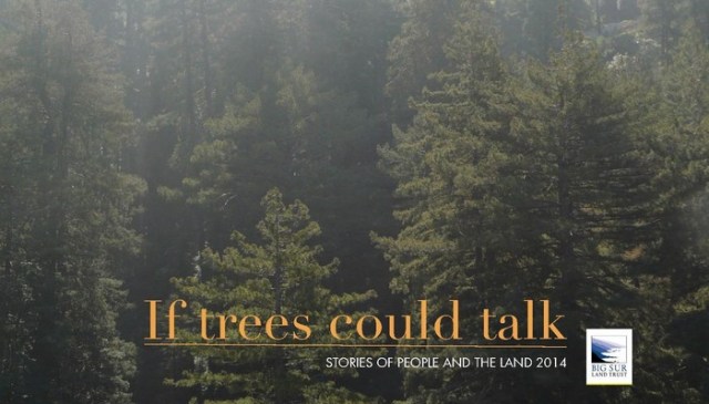 bigsur-trust3