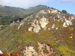 bigsur6