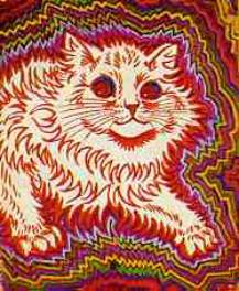 Cat5