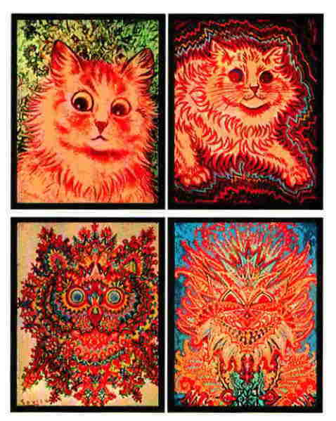 cats2