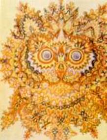 cats33