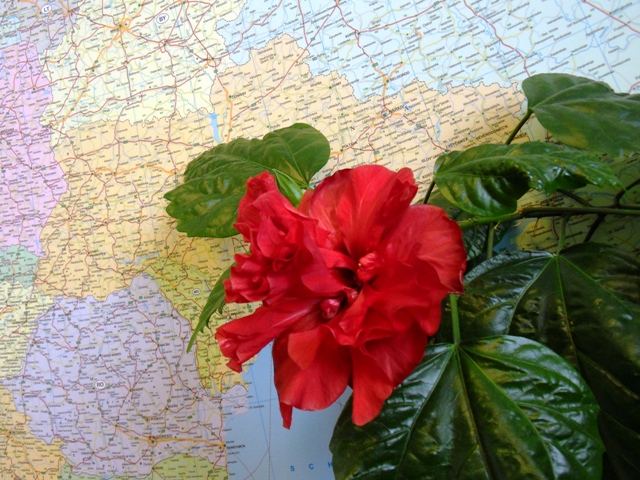 SAMSUNG DIGITAL CAMERA