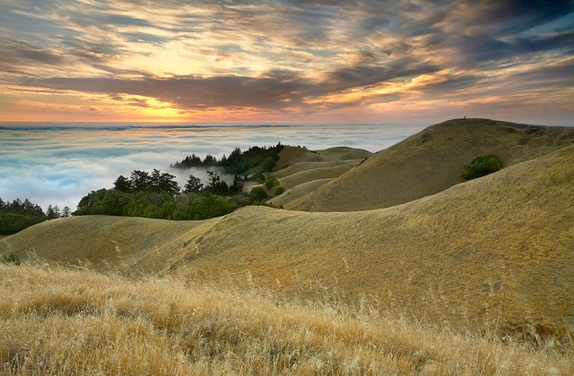 The sky during the summer is usually clear, so when I saw few high clouds drifting by in the weather satellite photo, I took the opportunity to go up to Mt. Tamalpais above the fog. So did a couple of other photographers on the hill to the right. They seemed so small compared to the grand scene before them, but they also became a perfect focal point for this scene. Even though they were far away, I could still hear them discussing where to stand and point the camera! I could also hear the waves crashing more than 2,000 feet below in the fog. You can see the two photographers in the 1280x1024 wallpaper file, and in the full sized tiff file, you can tell what they are wearing!