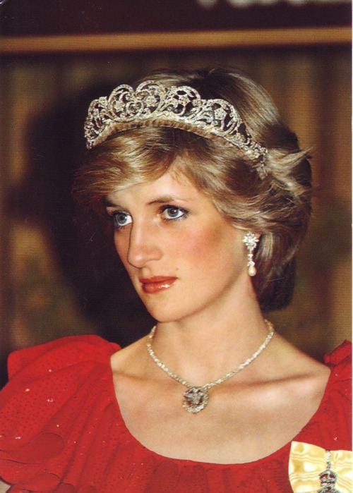 Princess-Diana-princess-diana-32013906-500-699