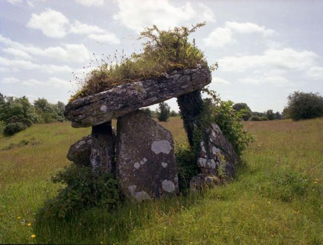 8oviz1vba00amk5dliipo3fzskii1j4