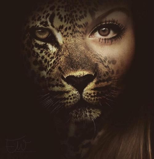 0e70f21020050a824ff7896d45972a02