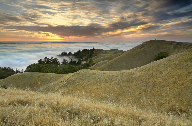 The sky during the summer is usually clear, so when I saw few high clouds drifting by in the weather satellite photo, I took the opportunity to go up to Mt. Tamalpais above the fog. So did a couple of other photographers on the hill to the right. They seemed so small compared to the grand scene before them, but they also became a perfect focal point for this scene. Even though they were far away, I could still hear them discussing where to stand and point the camera! I could also hear the waves crashing more than 2,000 feet below in the fog. You can see the two photographers in the 1280x1024 wallpaper file, and in the full sized tiff file, you can tell what they are wearing!