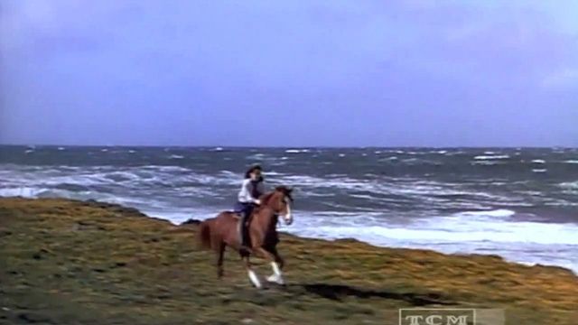 This image has an empty alt attribute; its file name is lara-horse.jpg