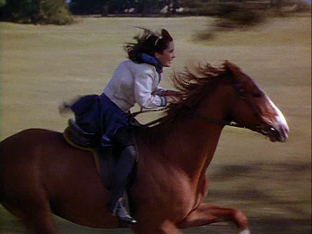 This image has an empty alt attribute; its file name is lara-horse2.jpg