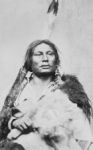 Gall-(Oglala-Lakota)-1878