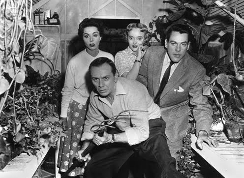 invasion-of-the-body-snatchers-15