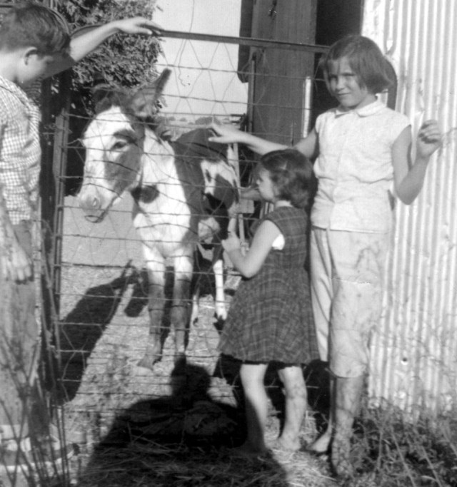 Prescos 1958 Greg, Vicki and Christine on farm